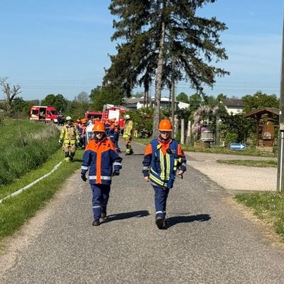 FW Weinheim: Nachwuchs rettet Zukunft - Weinheimer Jugendfeuerwehr im Großeinsatz