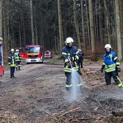 FW Eigeltingen: Feuerwehr-Abteilungen Honstetten, Reute und Eigeltingen werden zu Brand im Wald alarmiert