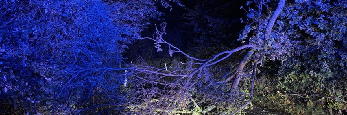 FW-Velbert: Erste Herbststürme sorgen für zahlreiche Feuerwehreinsätze in Velbert