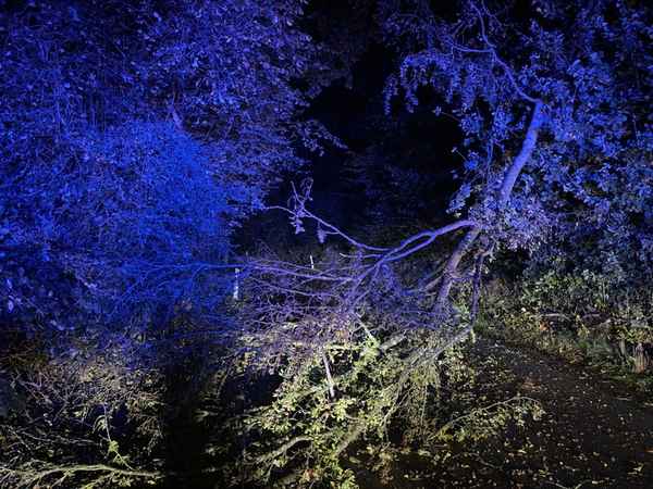 FW-Velbert: Erste Herbststürme sorgen für zahlreiche Feuerwehreinsätze in Velbert
