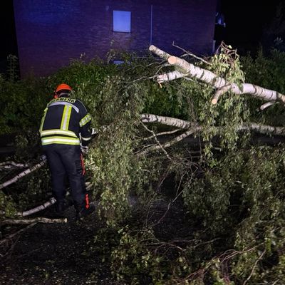 FW-KLE: Drei wetterbedingte Einsätze für die Freiwillige Feuerwehr Bedburg-Hau (Korrektur: Jetzt mit Einsatzbildern!)