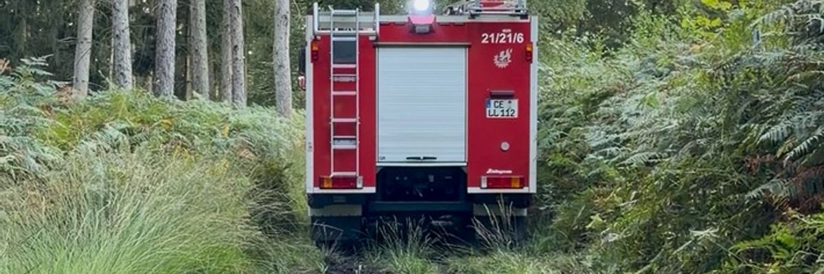 FW Flotwedel: Unklare Rauchentwicklung: Feuerwehr Langlingen sucht Waldgebiet nach Sichtung aus der Luft ab