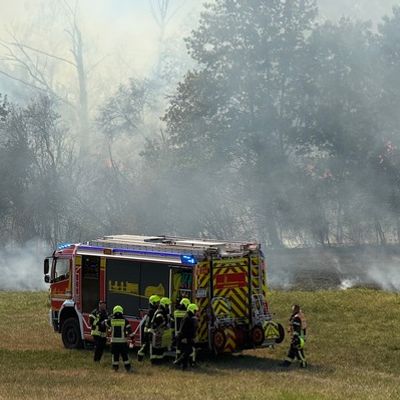 Feuerwehr MTK: Großeinsatz bei Vegetationsbrand in Hattersheim: Mehr als 200 Einsatzkräfte bekämpfen ausgedehnten Wiesen- und Waldbrand - umfangreiche Nachlöscharbeiten dauern an