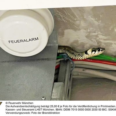 FW-M: Wochenendrückblick der Feuerwehr München (18. - 20.Juli 2025)