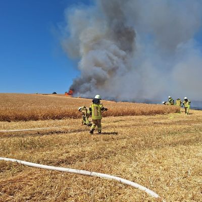 FW Helmstedt: 3 Hektar Getreidfeld in Flammen