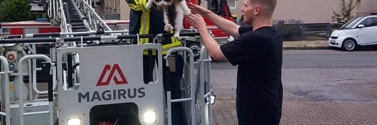 FW-BO: Feuerwehr rettet hilflosen Kater "Loki" vom Dach eines Mehrfamilienhauses