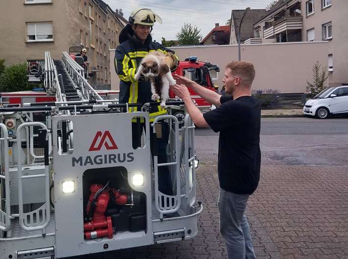 FW-BO: Feuerwehr rettet hilflosen Kater "Loki" vom Dach eines Mehrfamilienhauses