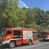 FW Dresden: Vegetationsbrand am Luftbad Dölzschen - rund 300 Quadratmeter Waldboden betroffen