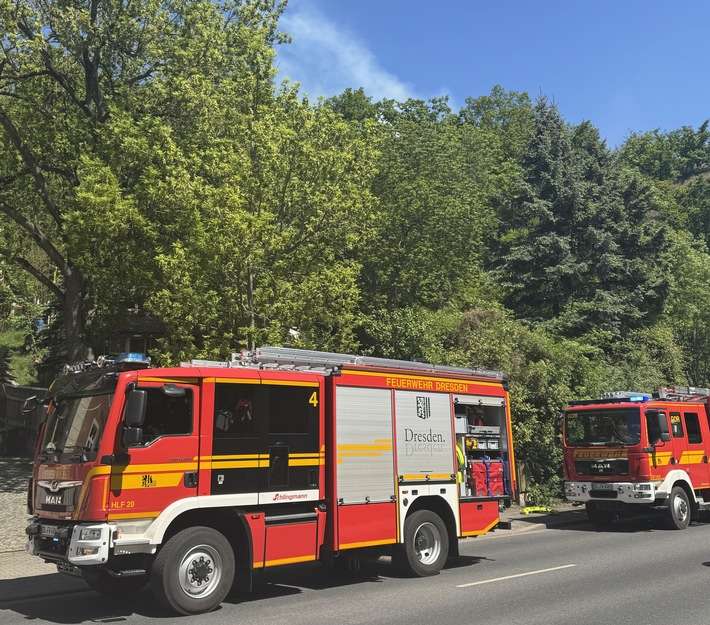 FW Dresden: Vegetationsbrand am Luftbad Dölzschen - rund 300 Quadratmeter Waldboden betroffen