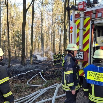 FW Pforzheim: Waldbrand im Bereich Hagenschieß - Eichwald