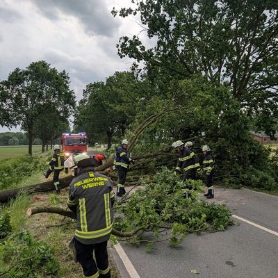 FW-WRN: Mehrere Sturmbedingte Einsätze für die Freiwilligen Feuerwehr Werne