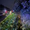 FW Alpen: Baum auf Fahrbahn