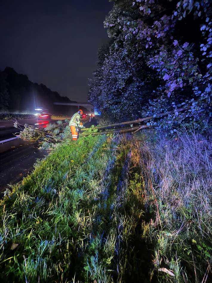 FW Alpen: Baum auf Fahrbahn