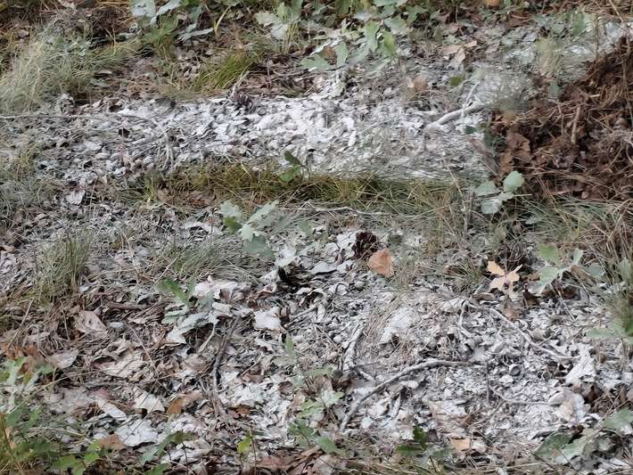 FW Lüchow-Dannenberg: +++ unbekanntes Pulver löst Feuerwehreinsatz aus +++ Gefahrstoff konnte nicht ausgeschlossen werden +++ B191 voll gesperrt +++