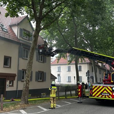 FW Speyer: Wohnungsbrand - eine Person leicht verletzt