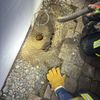 FW Allensbach: H1 Tierrettung