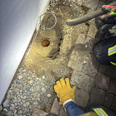 FW Allensbach: H1 Tierrettung