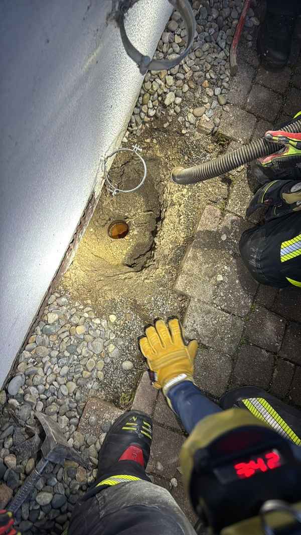 FW Allensbach: H1 Tierrettung