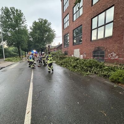 FW Bocholt: Nach heftigem Unwetter: Herabgestürzte Äste und vollgelaufene Keller im Stadtgebiet