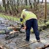 FW Alpen: Umgestürzter Baum verursacht Verkehrsunfall