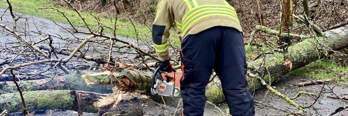 FW Alpen: Umgestürzter Baum verursacht Verkehrsunfall