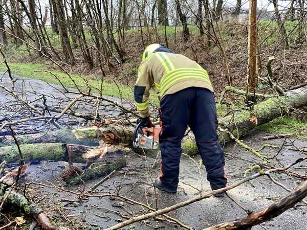 FW Alpen: Umgestürzter Baum verursacht Verkehrsunfall