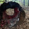 FW Rösrath: Einsatzreicher Dienstag - Feuerwehr Rösrath mehrfach im Einsatz