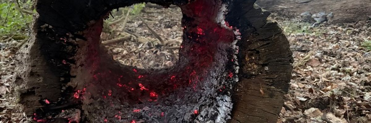 FW Rösrath: Einsatzreicher Dienstag - Feuerwehr Rösrath mehrfach im Einsatz