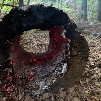 FW Rösrath: Einsatzreicher Dienstag - Feuerwehr Rösrath mehrfach im Einsatz