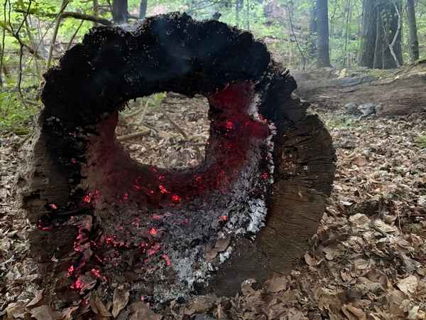 FW Rösrath: Einsatzreicher Dienstag - Feuerwehr Rösrath mehrfach im Einsatz