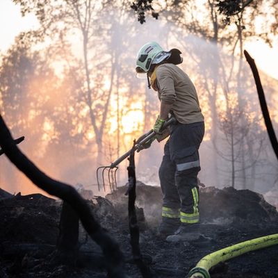 FW LK Neunkirchen: Großflächiger Waldbrand am Wingertsweiher fordert mehrere hundert Einsatzkräfte über zwei Tage