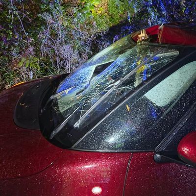 FW-MK: Herbststürme "Luise" und "Manja" ziehen über die Waldstadt