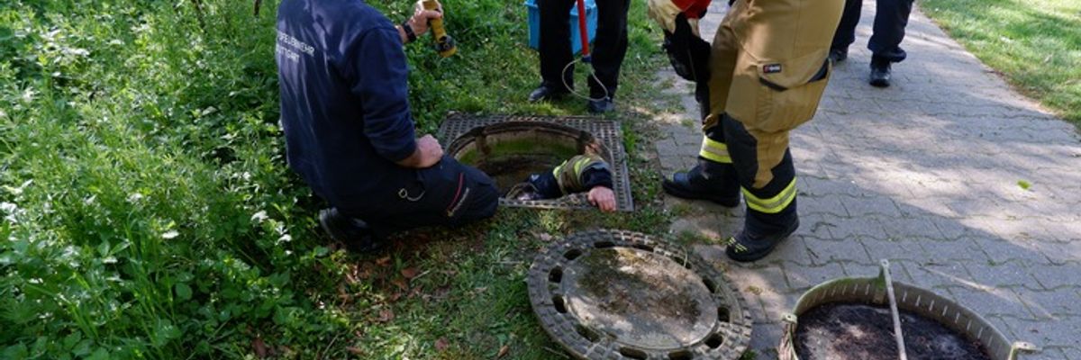 FW Stuttgart: Fuchs-Rettung in Stuttgart-Hohenheim