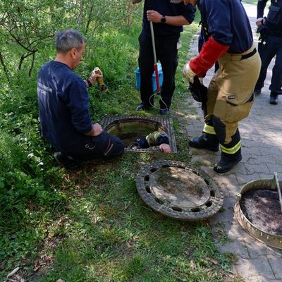 FW Stuttgart: Fuchs-Rettung in Stuttgart-Hohenheim