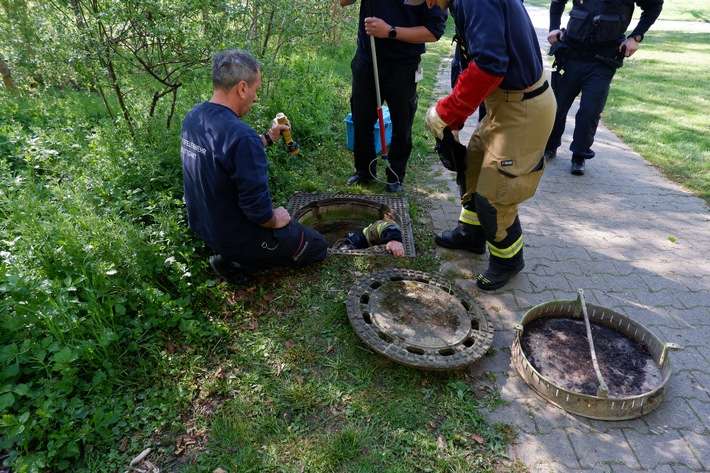 FW Stuttgart: Fuchs-Rettung in Stuttgart-Hohenheim