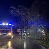 FW Reichenau: Baum über Fahrbahn, Rau-Lindenbühl, 26.11.2025