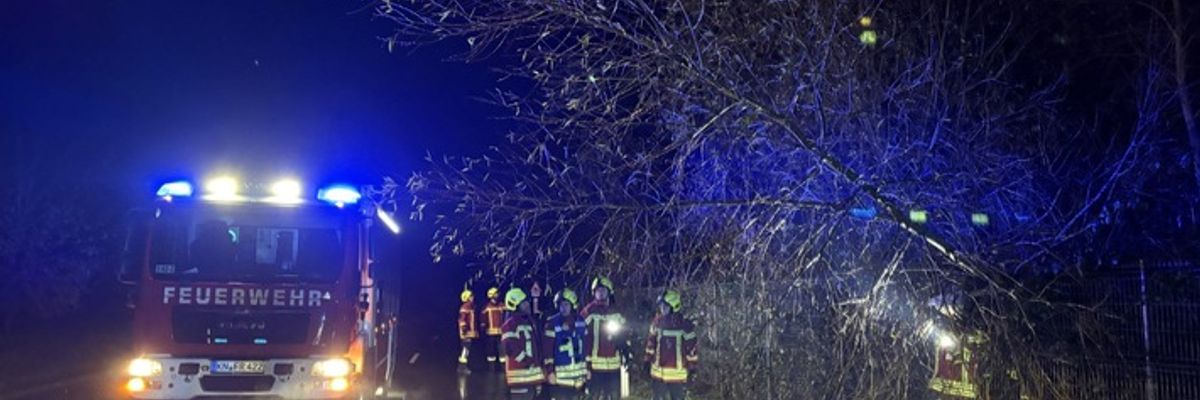 FW Reichenau: Baum über Fahrbahn, Rau-Lindenbühl, 26.11.2025