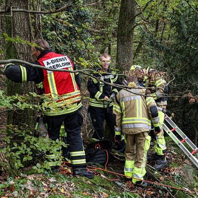 FW-MK: Feuerwehr rettet Golden Retriever aus Steilhang im Iserlohner Stadtwald