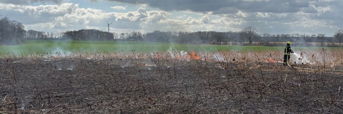 FW-WAF: Brand auf Getreidefeld