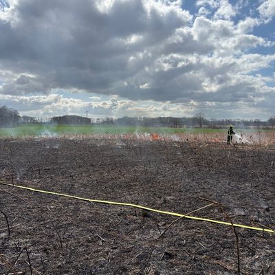 FW-WAF: Brand auf Getreidefeld