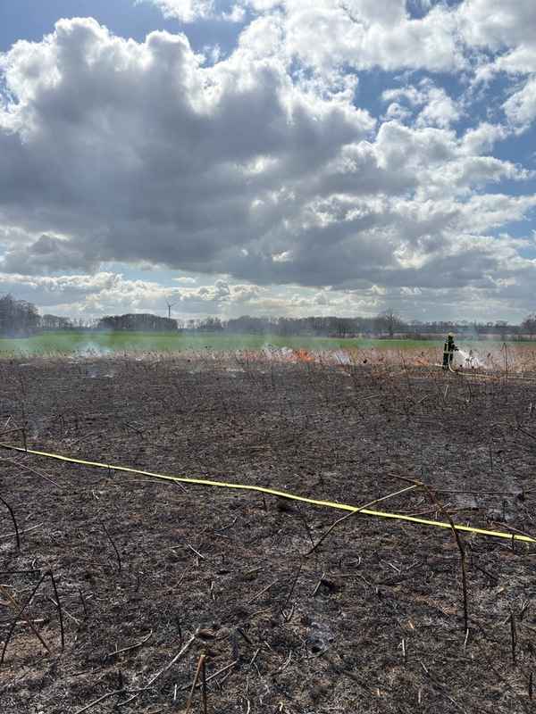 FW-WAF: Brand auf Getreidefeld