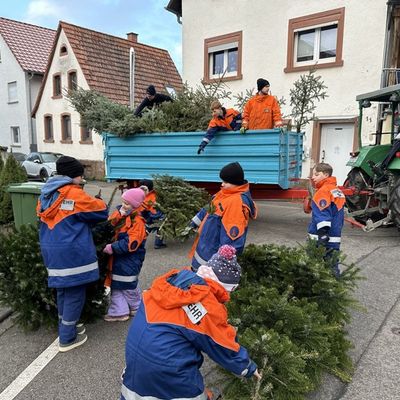 FW Weinheim: Jugendfeuerwehr Weinheim sammelt wieder ausgediente Christbäume ein