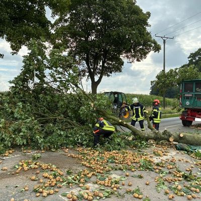 FW-KLE: Verkehrsunfall mit Traktorgespann - Baum stürzt auf Fahrbahn