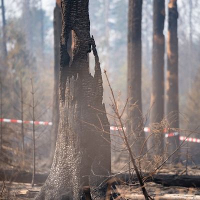 FW LK Neunkirchen: Waldbrand im Hosterwald: Einsatz nach 78 Stunden beendet