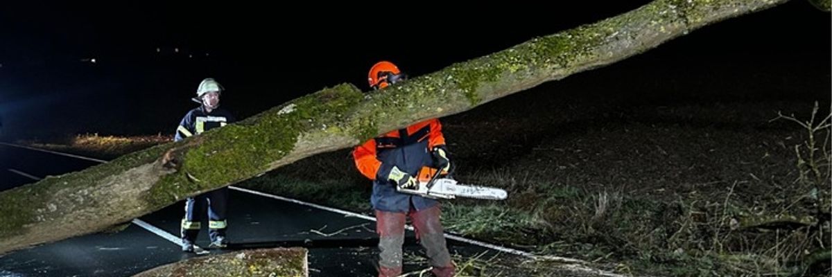 FW Ense: Baum auf Fahrbahn