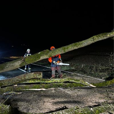 FW Ense: Baum auf Fahrbahn