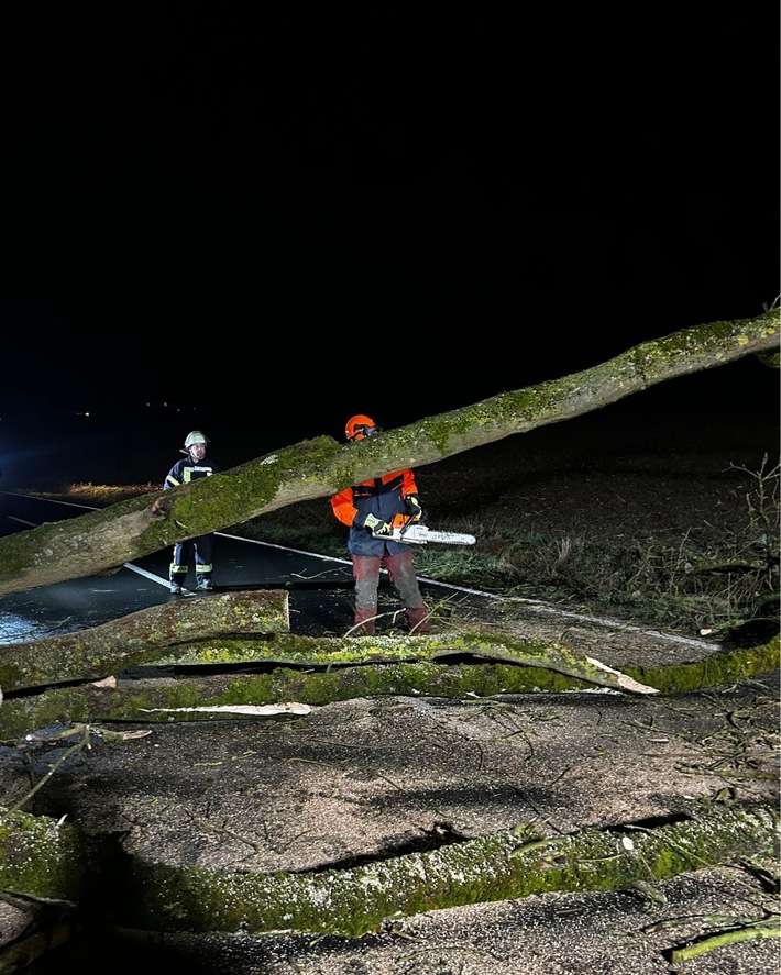 FW Ense: Baum auf Fahrbahn