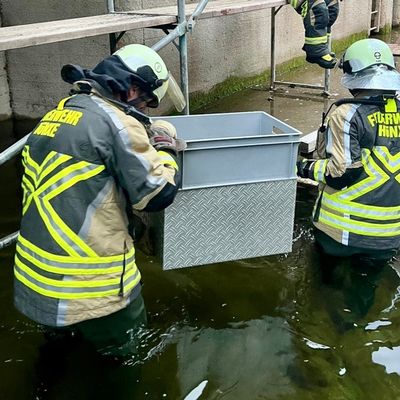 FW Hünxe: Feuerwehr rettet eingeklemmte Katze aus Schleusenkammer