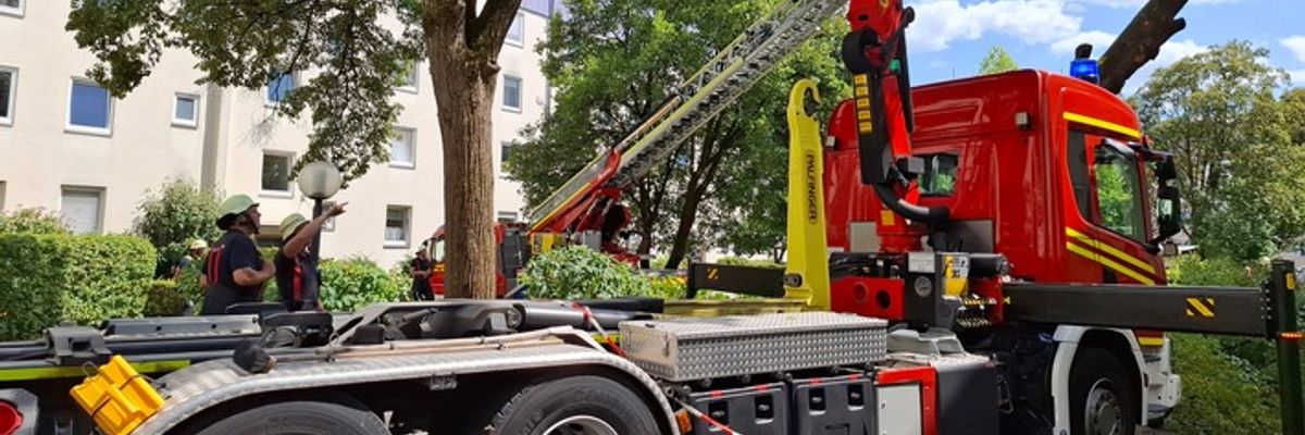 FW-M: Baum stürzt auf Haus (Berg am Laim)