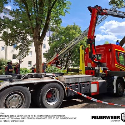 FW-M: Baum stürzt auf Haus (Berg am Laim)